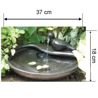 Water Fountains